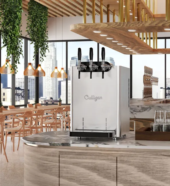 Reasons aquabar mt large 01