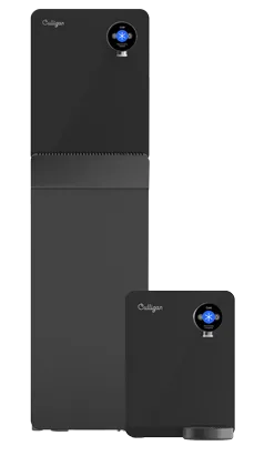 Purity advanced front facing