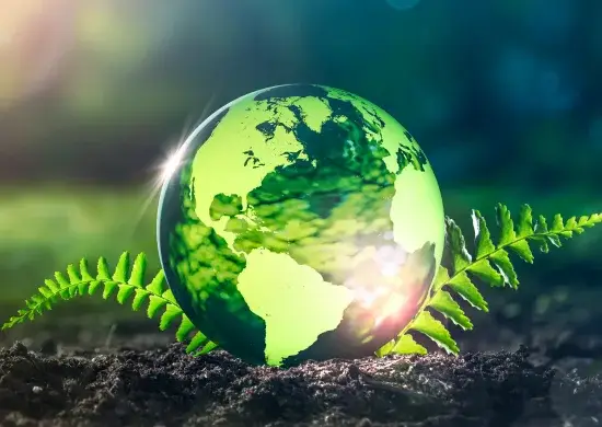 Water drop in the forest with earth seen inside it