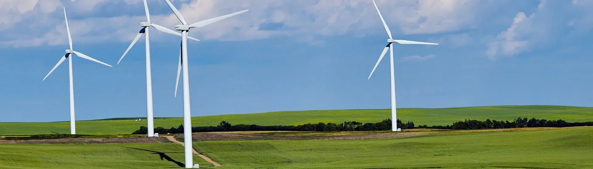 wind turbines in green fields