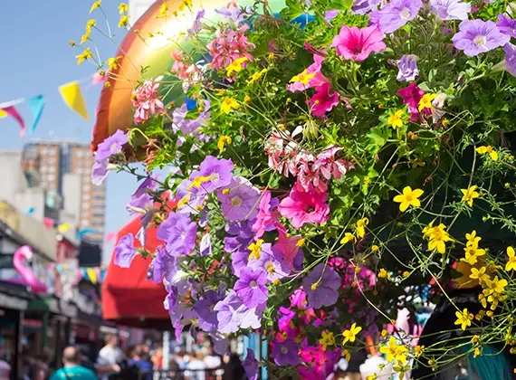 culligan-image-case-study-brighton-pride-3
